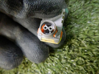DSCN2872.jpg