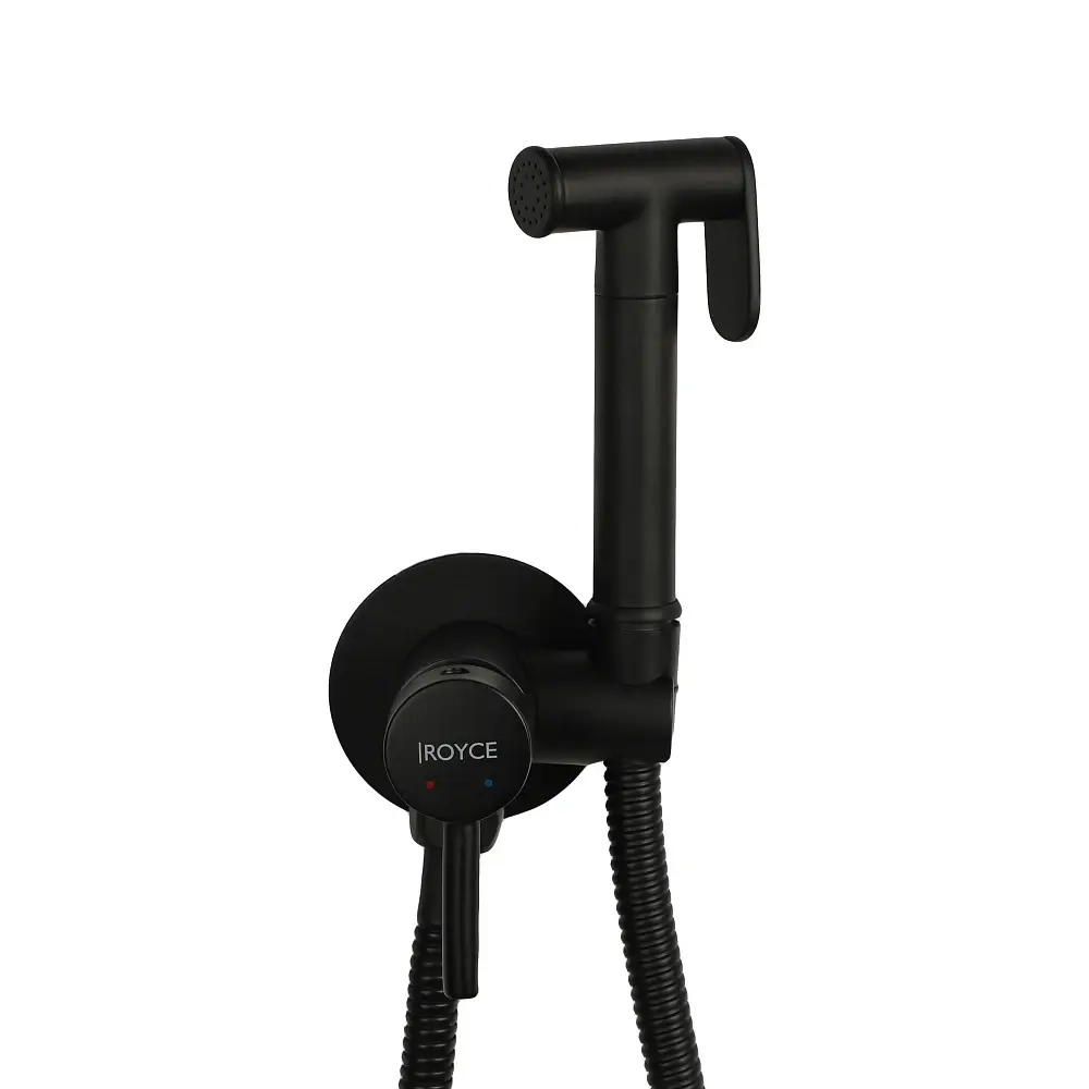 Гигиенический душ Royce Smart встраиваемый (RCS-113001BL)