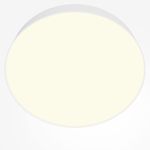 Потолочный светильник Technical C032CL-45W3K-RD-W