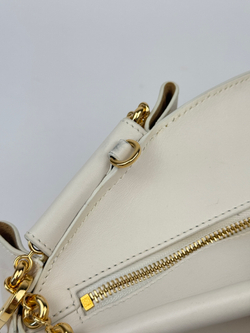 Сумка Loewe Paseo