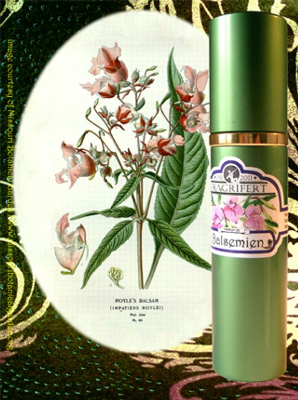 Fragrifert Parfumeur Ajonc