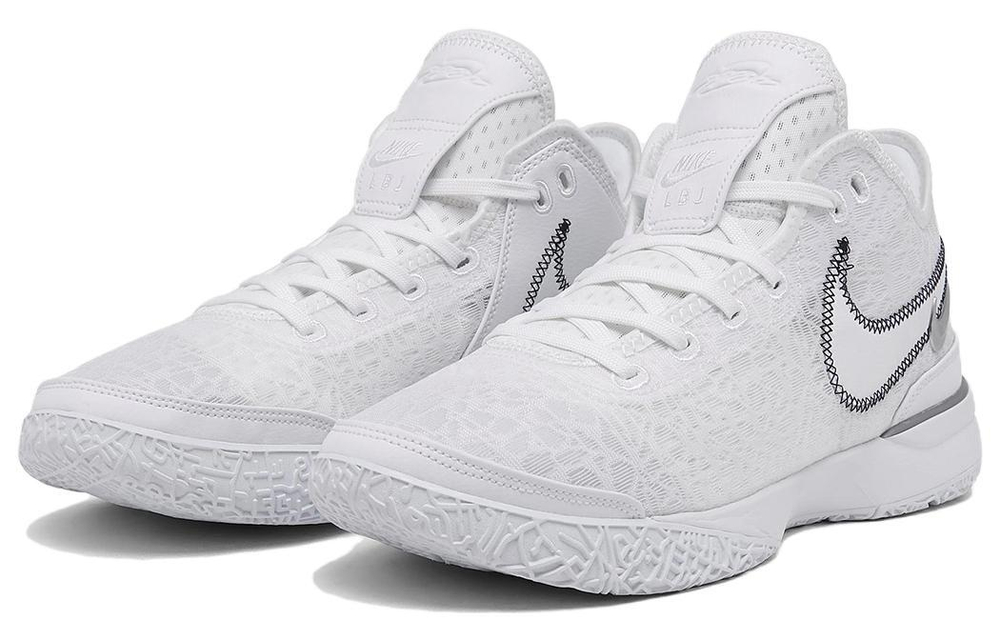 Кроссовки Nike Lebron Nxxt Gen Zoom "White Metallic Silver"