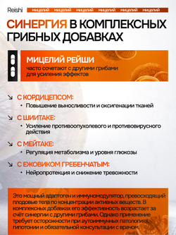 Рейши Линчжи 90 капсул