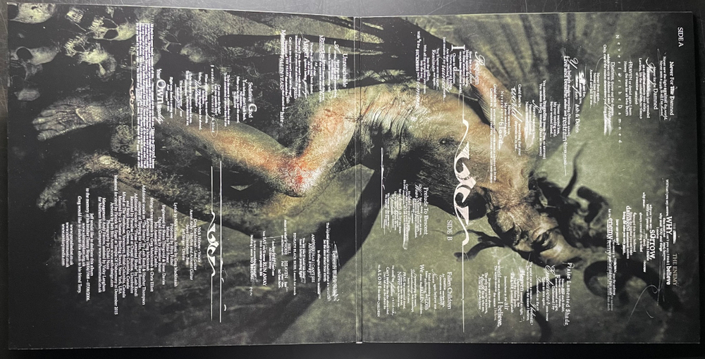 Paradise Lost ‎– In Requiem (Германия 2017г.) Green