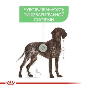 Корм для собак, Royal Canin Maxi Digestive Care, с чувствительной пищеварительной системой пищеварения