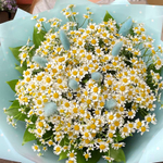 Букет ромашек «Идиллия лугов»