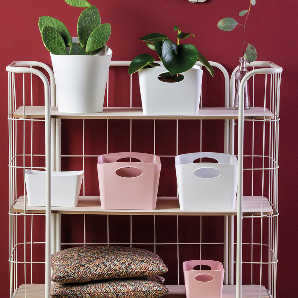 Контейнер для хранения boxxx, organic, 1 л, зеленый