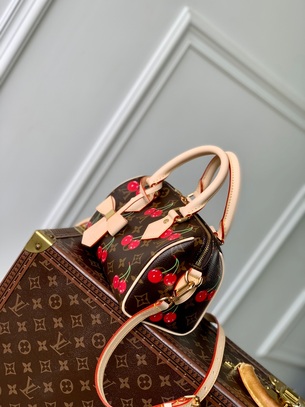 Louis Vuitton Speedy 20