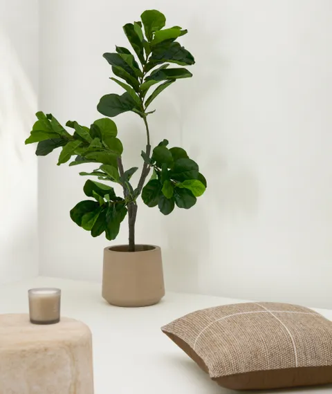 Flower Искусственное растение листовой скрипки 145см