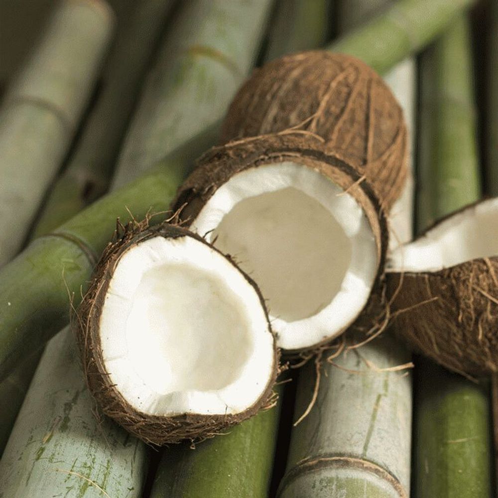 Бамбук и кокос (Bamboo and Coconut)