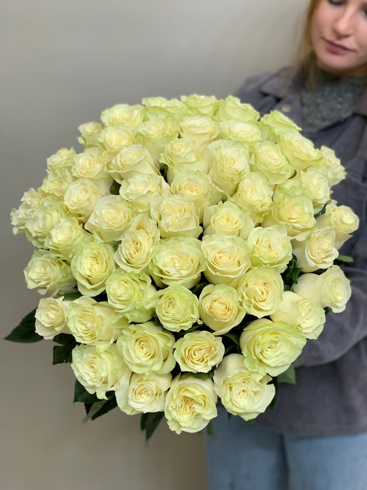 Букет 51 белая роза Эквадор 60см в ленте