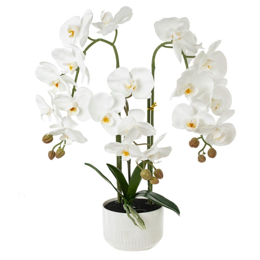 GAEM Цветочная композиция, L W H50 см