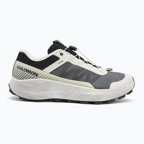 Кроссовки для бега Salomon Vision vanilla ice/lunar/rock/black