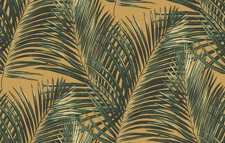 Palm