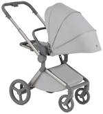 Детская коляска Anex Flo 2 в 1 Frossy