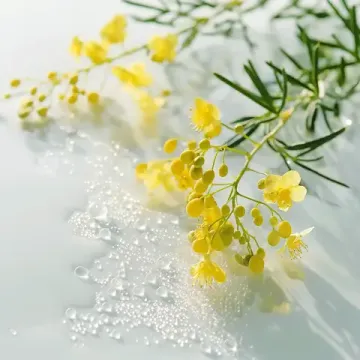 Leonor Greyl Термозащитный спрей для распутывания и объема тонких волос