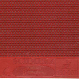 SAUER & TROGER Schmerz