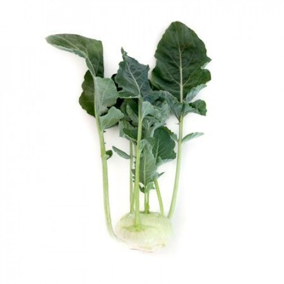 Едер рз F1 семена капусты кольраби (Rijk Zwaan / Райк Цваан) культура – фото 2