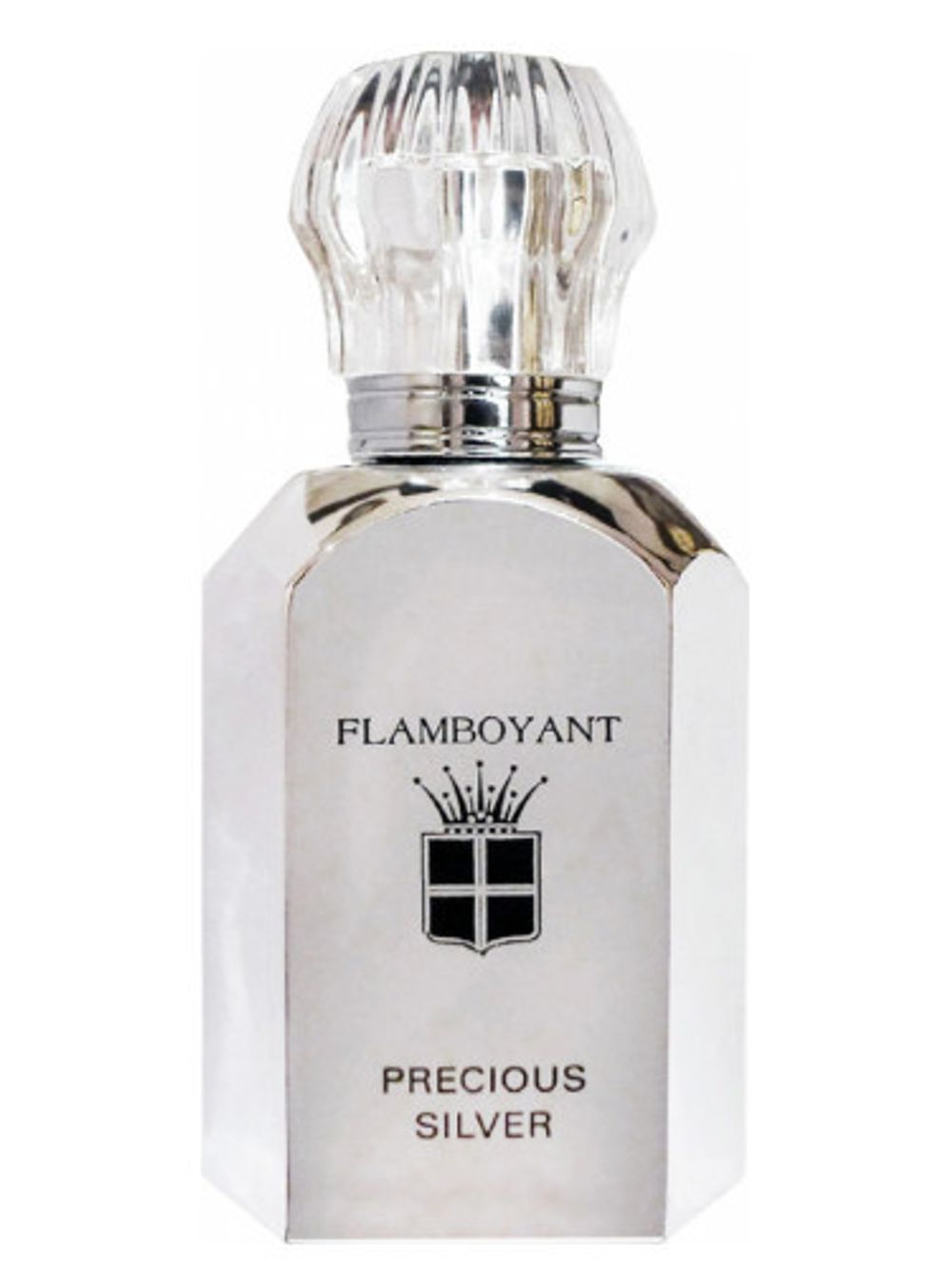 Flamboyant Precious Silver
