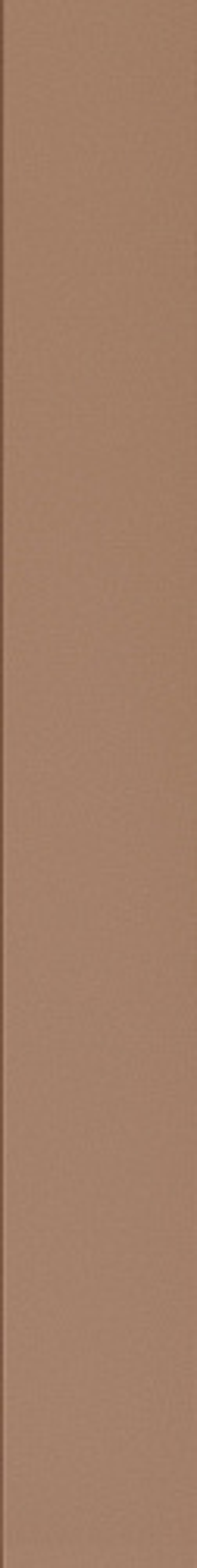 Керамическая плитка для стен WOW FACES Liso Tan 5х40