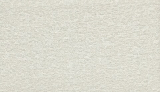 Шенилл Мэган 2028