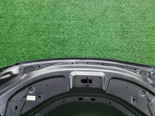 Капот Lexus RX 5 (2022-н.в.) (В пленке)