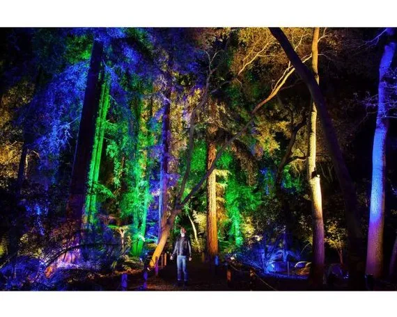 Elation SixPar 200WMG