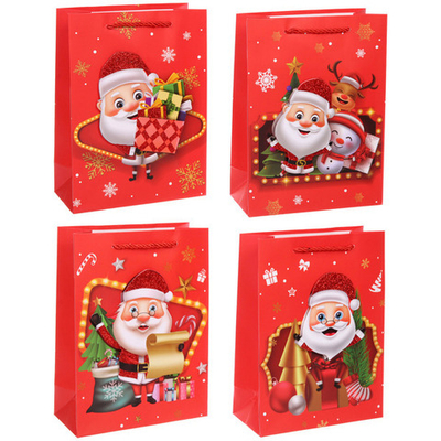 Пакет подарочный «Сказочный Дедушка» 18*24*8,5 см