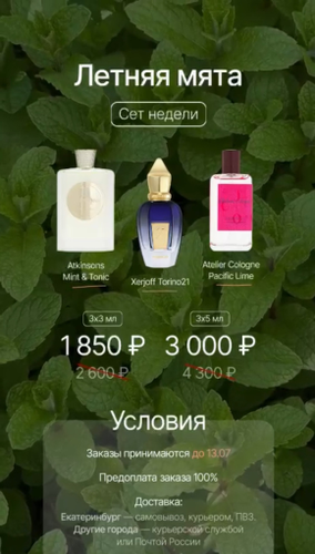 ЛЕТНЯЯ МЯТА