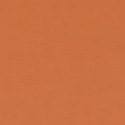 Фон бумажный FST 2,72х11 1042 Spice (Светло-Коричневый)