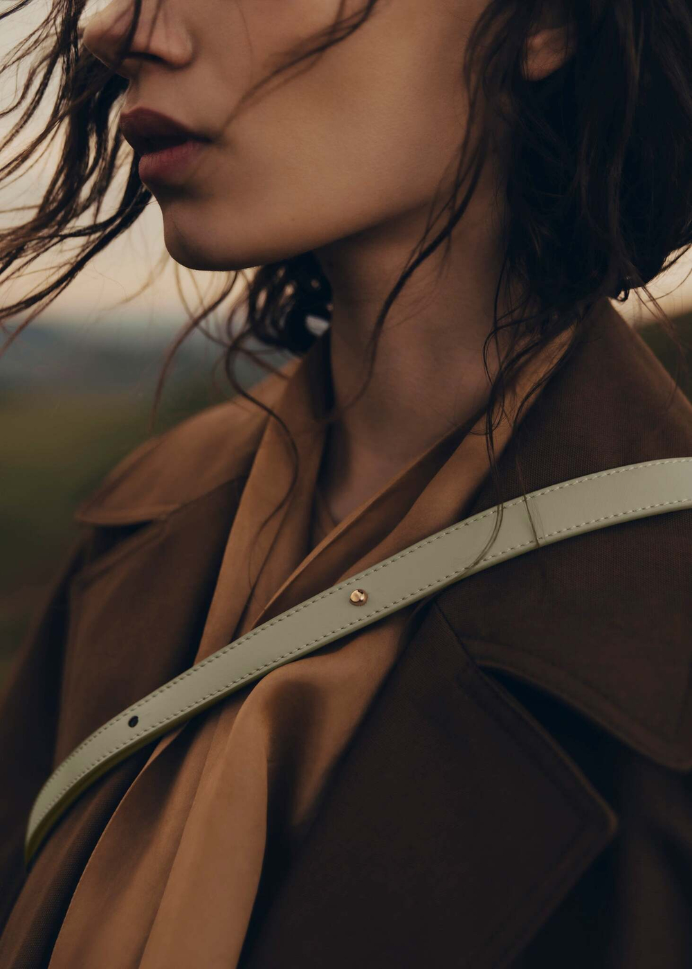 Сумка Polene Tonca EDITION DUO LAURIER