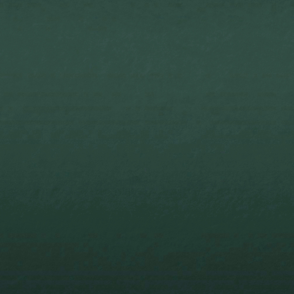 Chalkboard Green / Зеленый