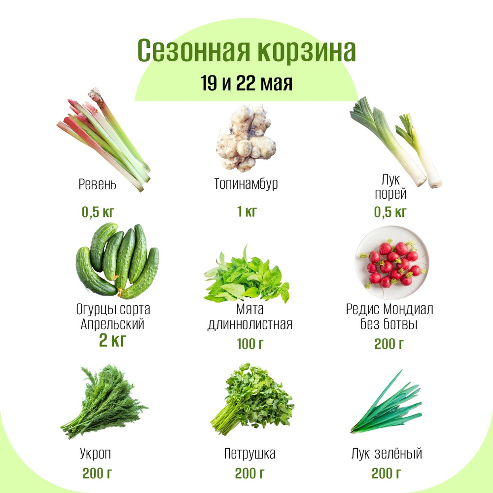 Сезонная корзина
