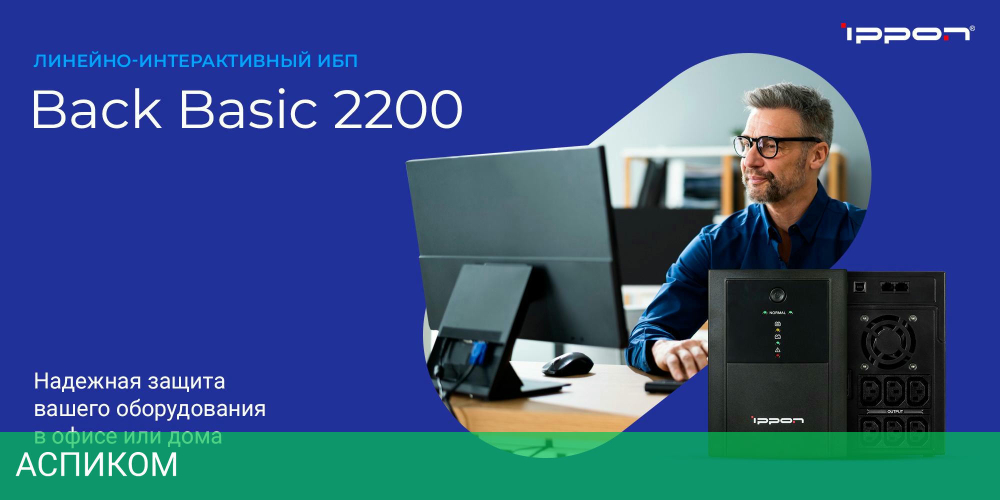 Источник бесперебойного питания Ippon Back Basic 2200 (1108031)