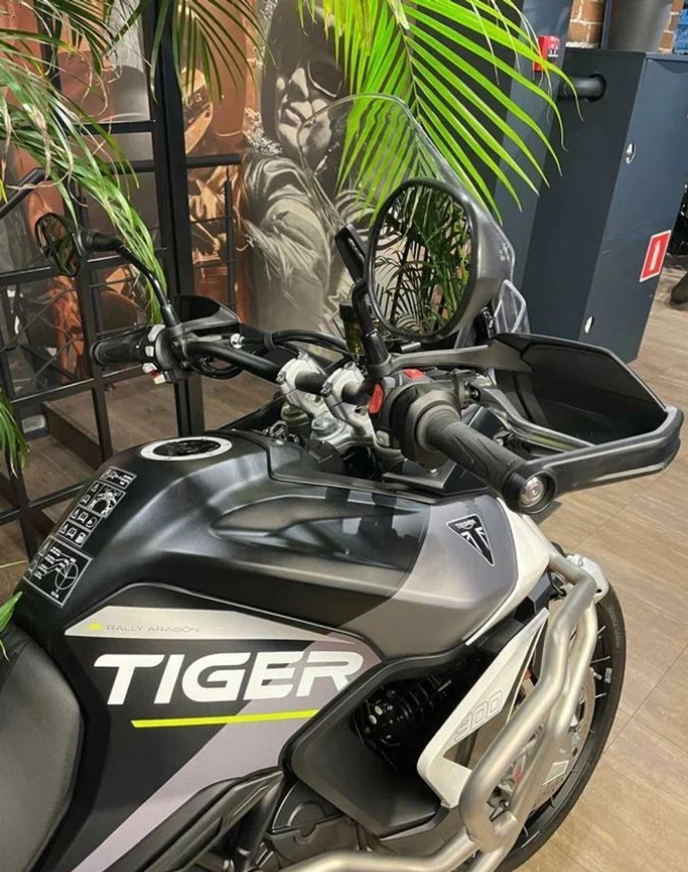 Tiger 900 Rally Aragon Edition