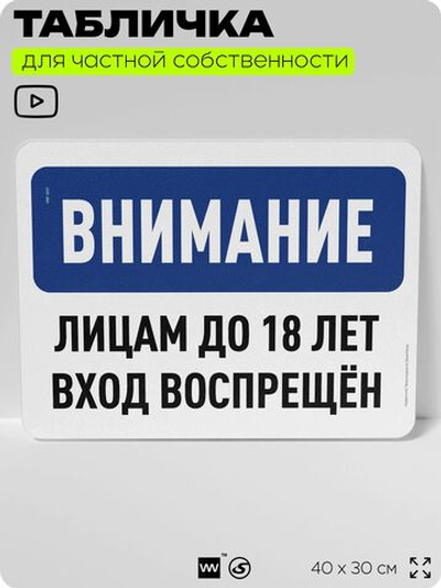 Табличка для частной территории "Внимание, лицам до 18 лет вход воспрещен", на дом, для участка, организаций и частных территорий, предупреждающая, 40х30 см, Silver Plane x Айдентика Технолоджи