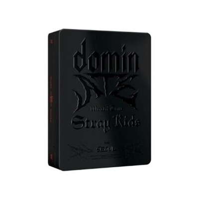 видео Stray Kids - dominATE SEOUL WORLD TOUR DVD