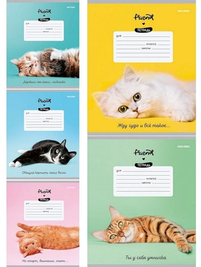 Тетрадь А5 12л. косая линия "Котики и фразы" мелов.облистер 5 дизаинов (Проф-Пресс)