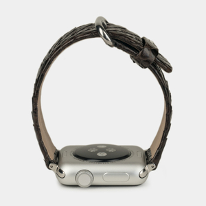 Ремешок для Apple Watch 40/41/42 mm из кожи питона, темно-коричневого цвета