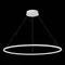 ST603.543.46 Светильник подвесной ST-Luce Белый/Белый LED 1*46W 4000K Подвесные светильники