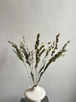 Хасмантиум натуральный