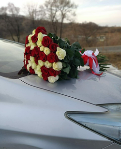 49 высоких роз