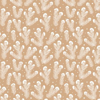 белые еловые ветки