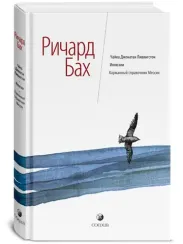 Чайка. Иллюзии. Карманный справочник Мессии
