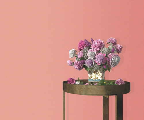 Обои 5139-50 Josepha Erismann