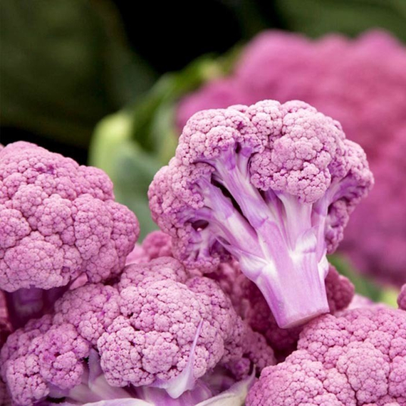 ДЕПЕРПЛ F1 семена капусты цветной Syngenta оисание – фото 3