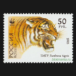 Россия 1993 г № 124-127 Серия Уссурийский тигр Чистая MNH **
