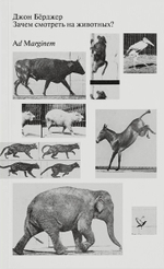 Зачем смотреть на животных?