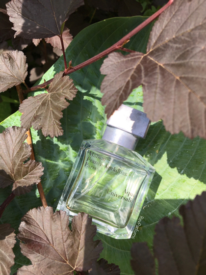 Maison Francis Kurkdjian Aqua Universalis