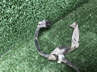 Проводка заднего бампера Nissan Qashqai j11 13-22